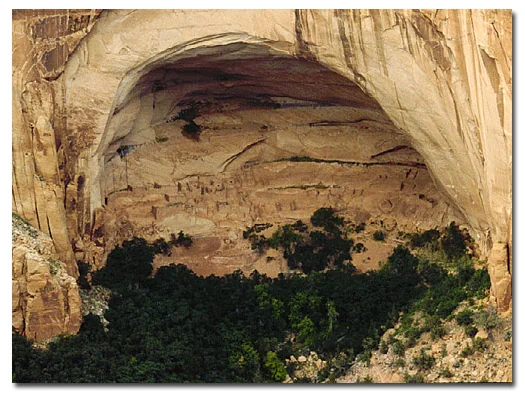 Tonalea - Navajo National Monument