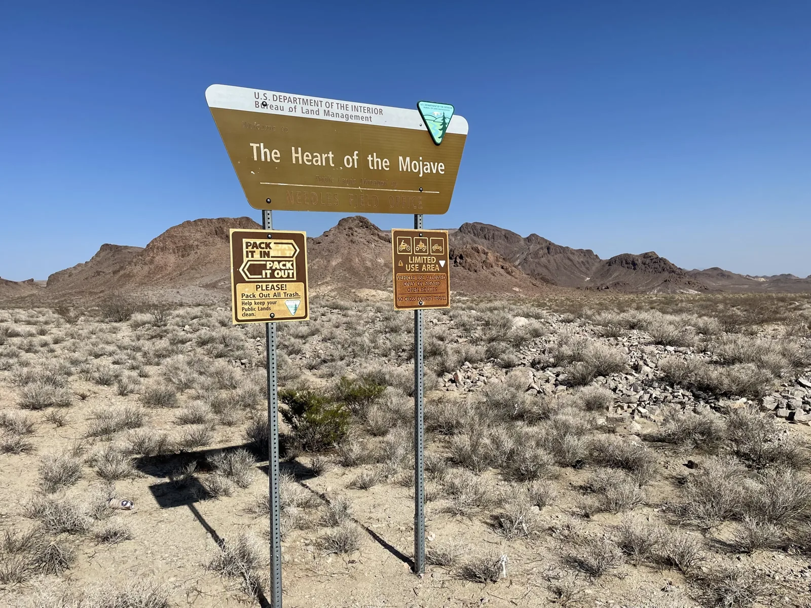 Nel cuore del deserto del Mojave