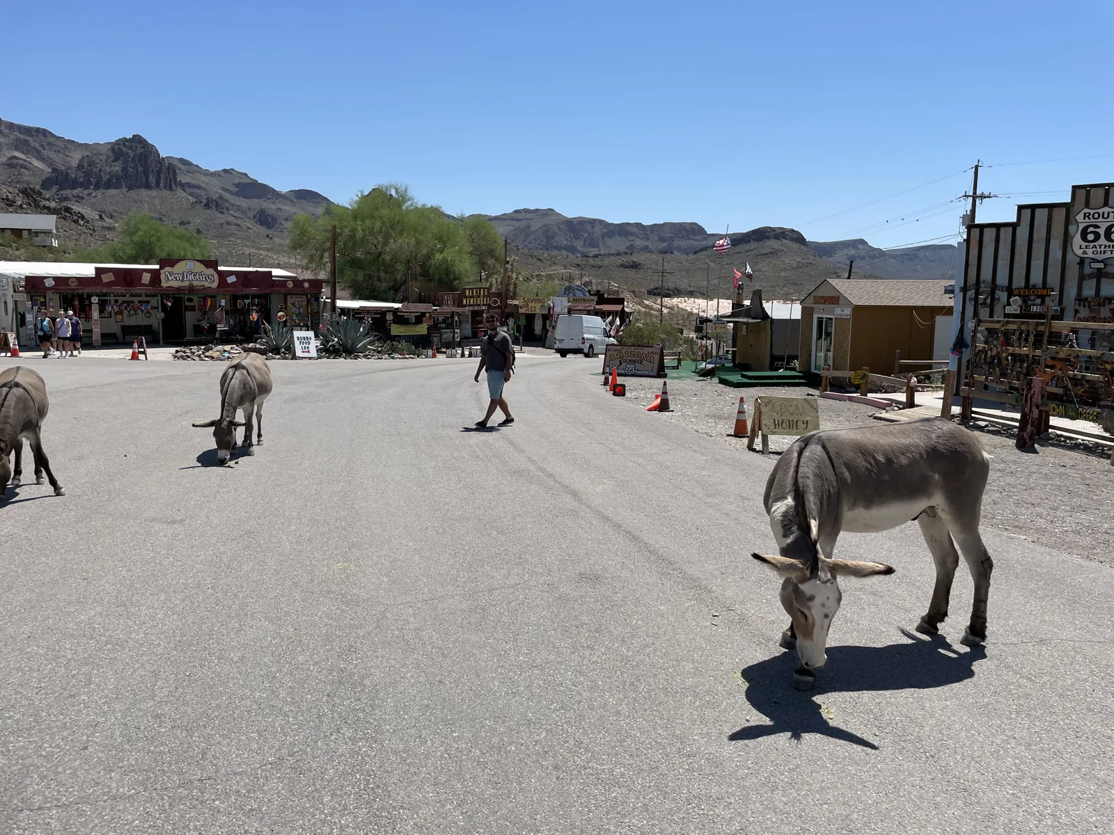 Oatman